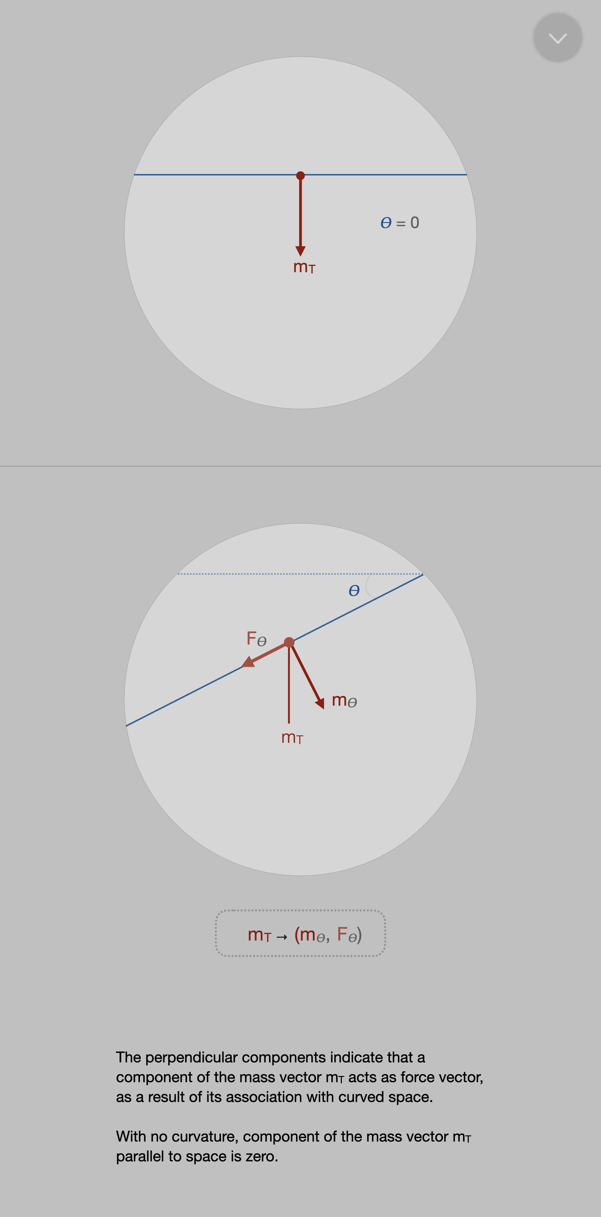 optional 5