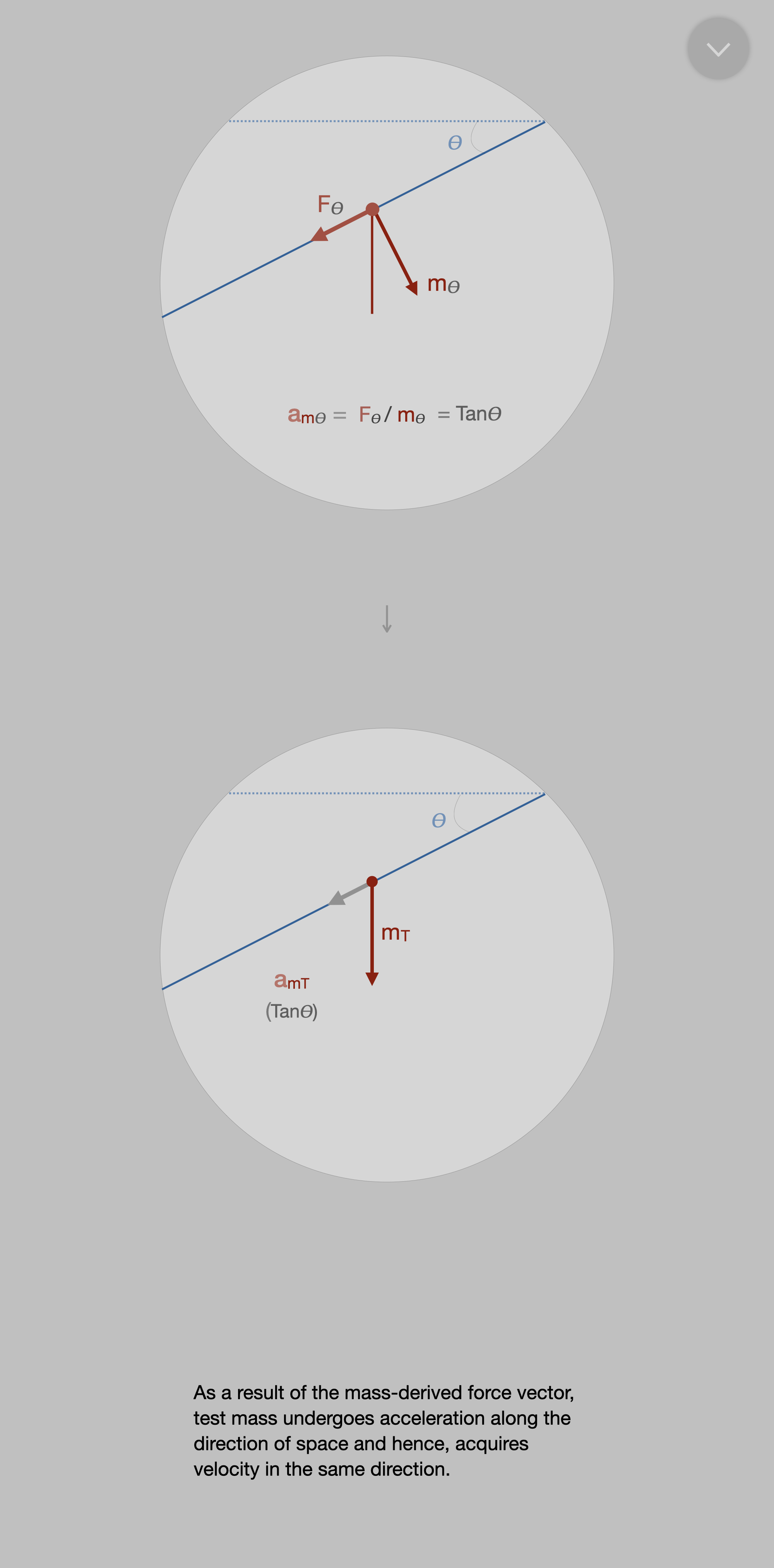 optional 6